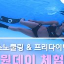 오션스타다이빙스쿨