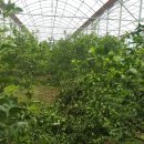 대유농장 이미지