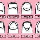 손톱모양 이미지