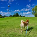 파주출판단지 근린공원(1) 이미지