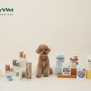 윌리스빌 이미지