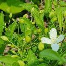 상주산소 이미지