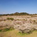 동산(중방) 이미지
