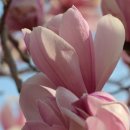 하얀쉼터 이미지