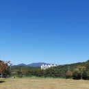 옻골다목적구장 이미지