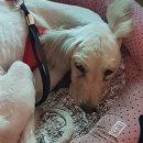 남은농장 이미지