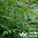 (주)상록조경 이미지