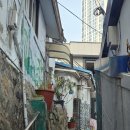 참서울의원 | 녹십자아이메드 서울숲의원! 후기 직장인 건강검진