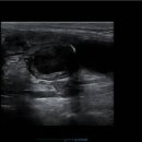 삼화 우수한 동물병원 이미지