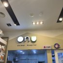 광교 우리들동물병원 | [다온] 10살 노묘 치아흡수성병변 발치 후기 (광교 온유동물병원, 펫 보험 마이브라운 내돈내산)