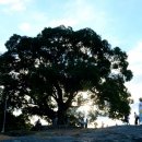 동부마을 공중화장실 이미지