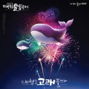 (농땡이) 대청호 물빛축제 이미지