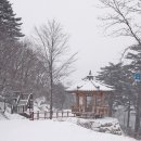 게스트 하우스 소나무 이미지