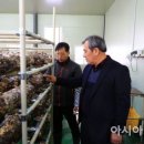 옥과 무창 이미지