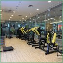 쏘마휘트니스 이미지