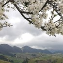 먹자골식당 이미지