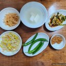 송화농장 | 고양시 성사동 20년 전통 쭈꾸미 맛집 송화 후기