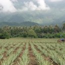 유니베라 이미지