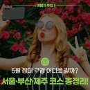 호텔 더 마크 해운대(Hotel The Mark Haeundae) | 5월 장미 구경 어디로 갈까? 서울·부산·제주 코스 총정리!