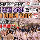 금강로하스 대청공원(2) 공중화장실 | [축제] 대전 대청호 벚꽃길 '실시간 만개' 가이드: 축제 취소에도 인파 몰리는 이유