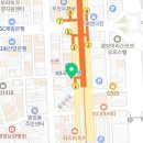 부산강아지분양 고양이분양 베스트펫 본점 이미지