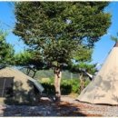 삼화리 동광 캠핑장 이미지