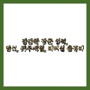 초월장군 이미지