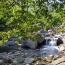 소소한 하루 민박 이미지