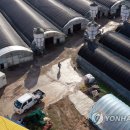 나주농장 이미지