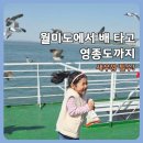 월미선착장 배 타고 구읍뱃터까지 시간표·요금 총정리 | 아이와 갈매기 새우깡 체험 후기