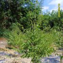 목원농장 이미지