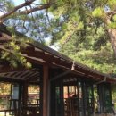 물숲(명천) 이미지