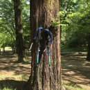 ⛰️하이콜릭 등산스틱 정말 편해요!! 접이식등산스틱 사용 후기