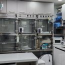 동물병원 유피 이미지