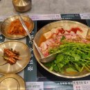 퍼피빈 스튜디오 이미지