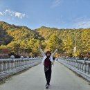 서림