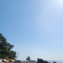 강원 고성 대진항 Daum카페