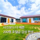 스테이 뮤트 이미지