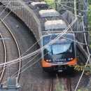 숲속에 안뜰 이미지