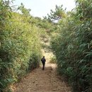 바람의언덕길 이미지
