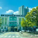 천일청과 - 예산군 창말로 17 | 천일청과