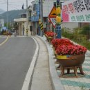 인도변 화단 이미지