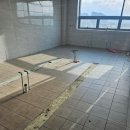 도기도기 이미지