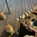 오두막 | 자발적 고립으로 채우는 진짜 휴식 (남양주 숲속의 오두막 ,cabin 2 후기)