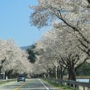 더 머물다 이미지