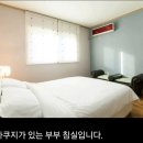 제주곶자왈별장