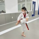 일등태권도장 이미지