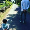 모전자전 이미지