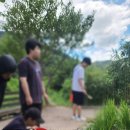 새미래농장 이미지