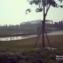 메이랜드(Mayland)